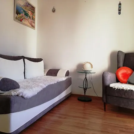 White Lily Of Apartament Budva