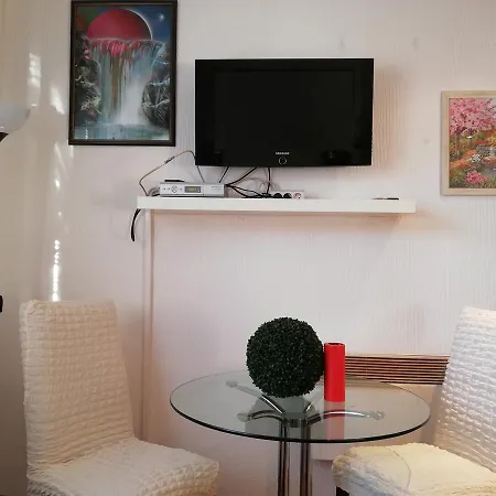 White Lily Of Apartament